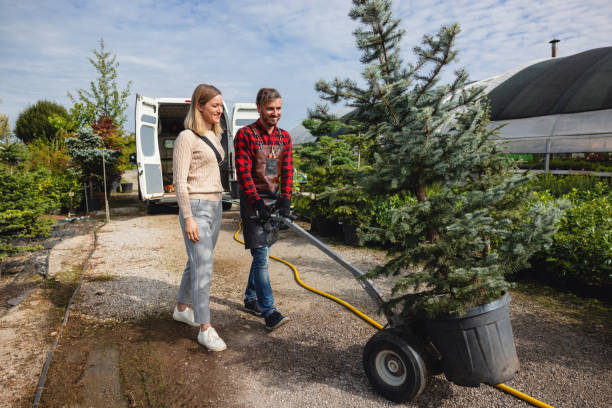 Reliable Twin Lakes, WI Tree Removal Solutions